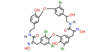 Bastadin 17